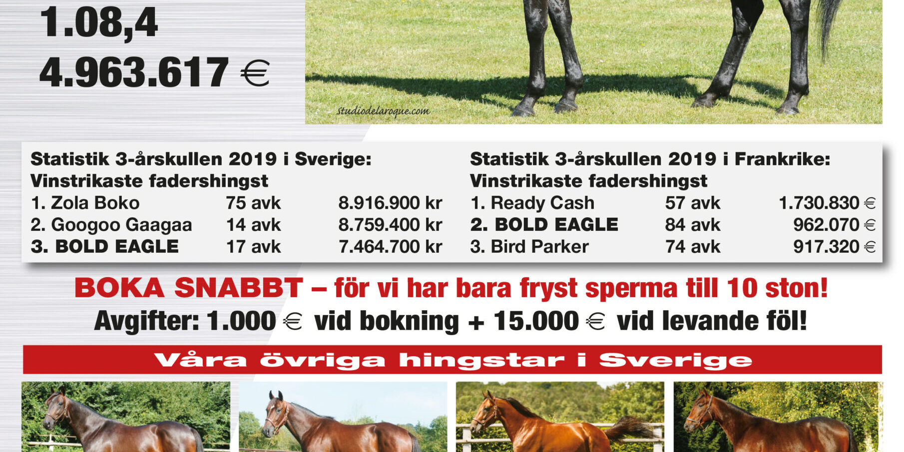 2701.Bold Eagle Ta?vlingsfenomenet A4