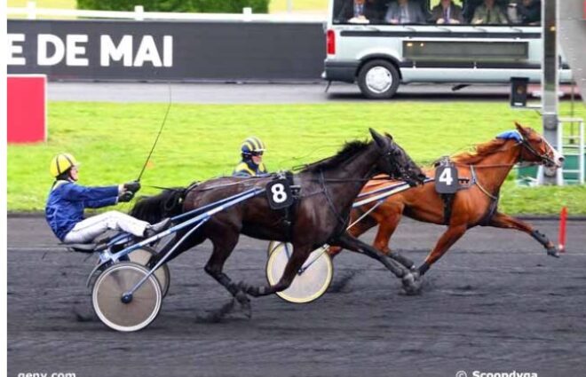 Folelli Folelli