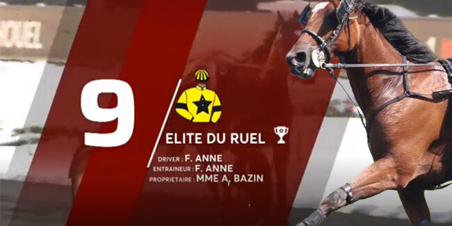 Elite du Ruel
