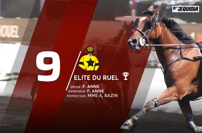 elite-du-ruel Elite du Ruel