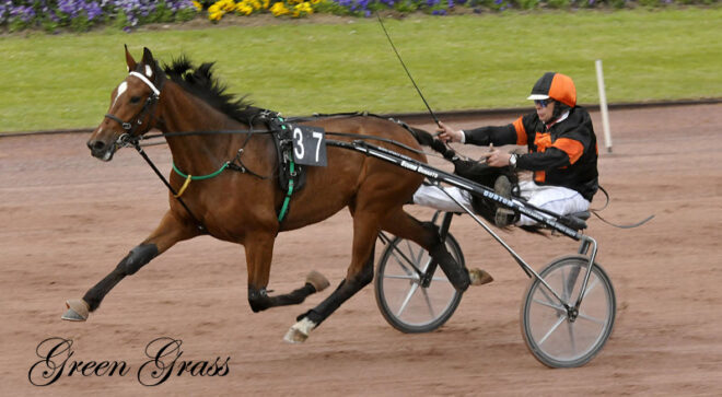 Green Grass (1’18”1), qualifications a Caen du jeudi 17 mai 2018.