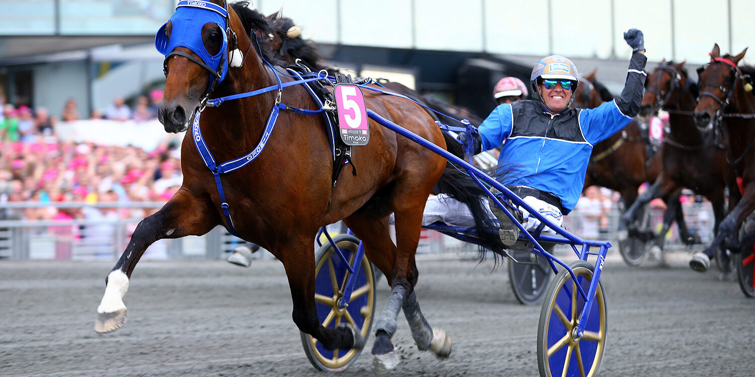 Timoko