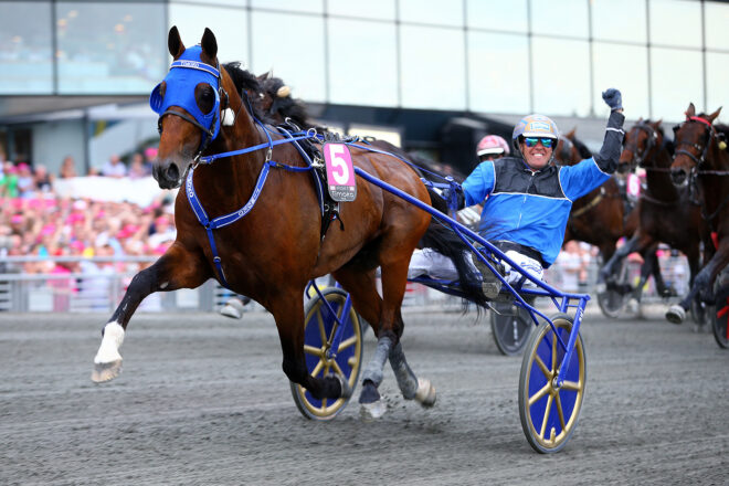 Timoko