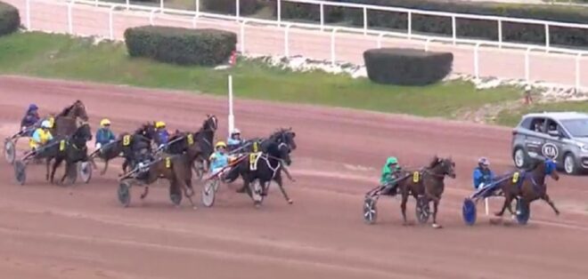 timoko timoko