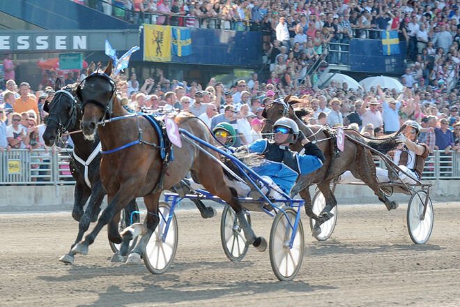 timoko3 Timoko