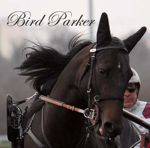 bird-parker1111123