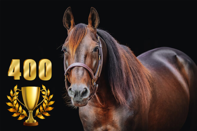 bold 400