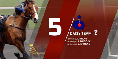 Daisy Team