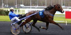 Dandy de Godrel Dandy de Godrel