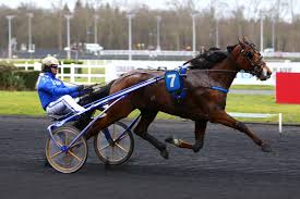 Dandy de Godrel Dandy de Godrel