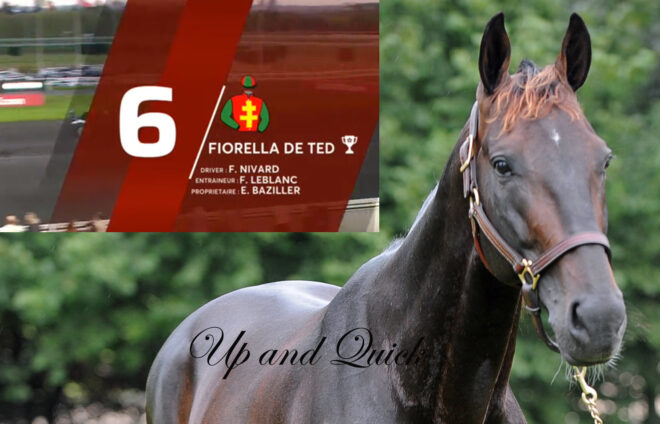 fiorella