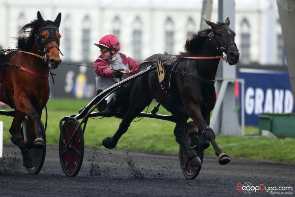 Flocky d´Aurcy Flocky d´Aurcy