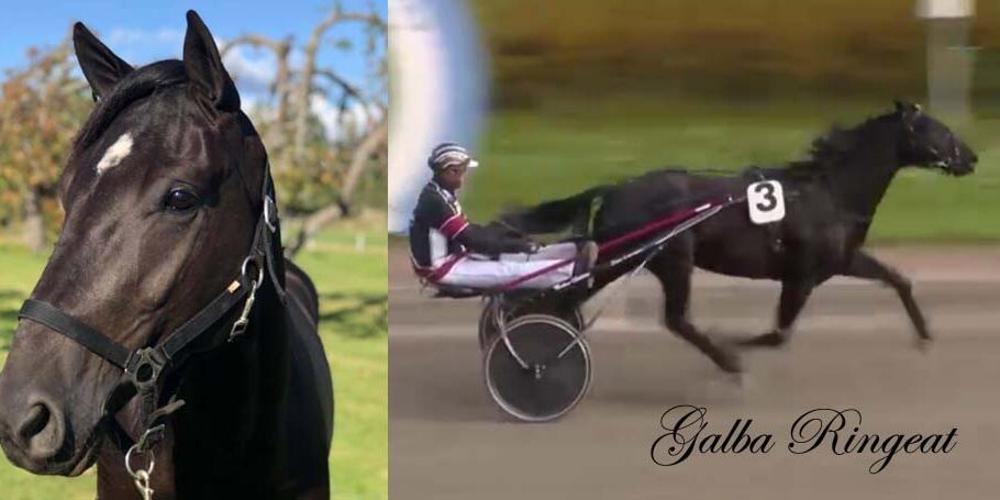 galba1