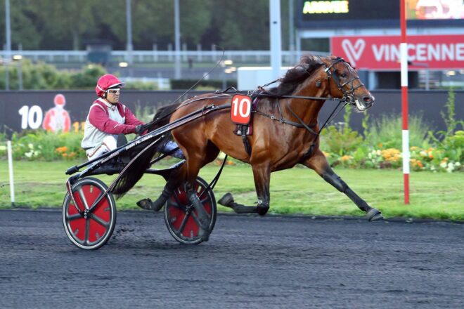 gotland-i-prix-kalmia