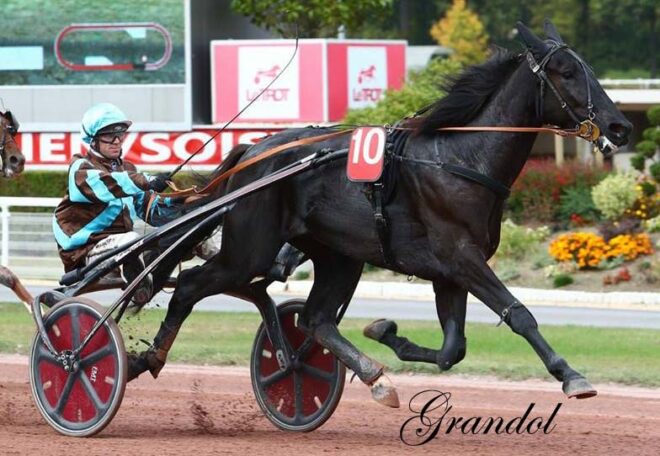 grandol1