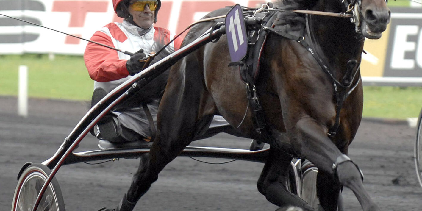Vincennes 080913  Foto:Claes Krrstrand Ready Cash     Bernahard Piton