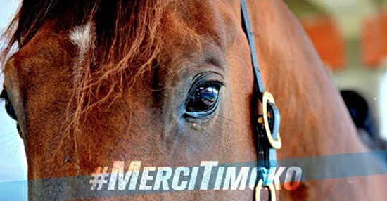 Timoko Timoko