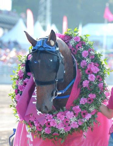 timoko-krans_elitlopp_8059
